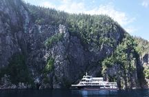 Whale Watching Cruise From Tadoussac or Baie-Ste-Catherine