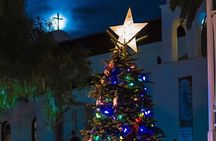 Savannah Holiday Sights and Festive Nights Trolley Tour