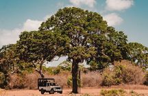 Day Excursions to Wilpattu National Park from Negombo