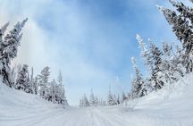  Yellowstone & Grand Teton National Parks Winter Tour: Small Group 4-Day Tour