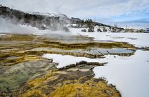 Yellowstone & Grand Teton National Parks Winter Tour 5-Day