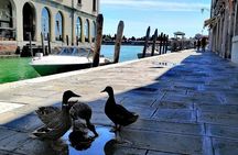 Island Hopping Tour: Mazzorbo, Burano and Murano 