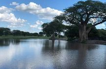 3-Day Serengeti NP & Ngorongoro Crater Safari