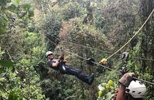 Mindo Cloud Forest
