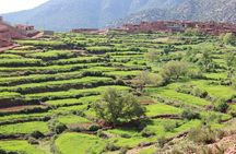 "Follow the Clinton’s Foot Steps To Atlas Mountains | Private & Luxury 