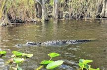 Everglades Holiday Park Airboat Tours & Rides