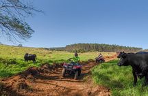 Deluxe ATV Waterfall and Swim Experience