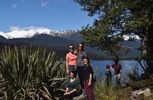 Small Group Lake Mapourika Cruise & Rainforest Walk - Franz Josef