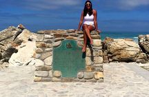 Spectacular Private Garden Route with Convoy Tours! Let's Go!