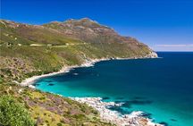 Brilliant Fun Private Tours to Cape Point - Avoid the Lines - Avoid the Crowds