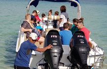 Full-Day Swimming with Dolphins and Casela Nature Park Tour in Mauritius