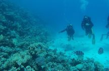 Private sea trip Hurghada