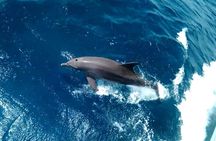 Private sea trip Hurghada