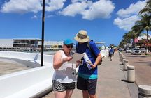 Amazing Cozumel Race: Small-Group Tour and Scavenger Hunt
