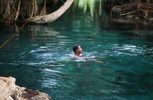 MATERUNI waterfalls, coffe tour & kikuletwa hotsprings