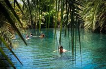 MATERUNI waterfalls, coffe tour & kikuletwa hotsprings