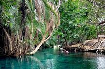 MATERUNI waterfalls, coffe tour & kikuletwa hotsprings