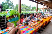 Shake It Up- Dance & Salsa Tequila Experience With Transfer