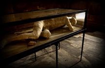 Guided tour of Pompeii 