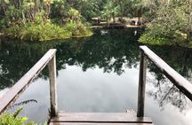 Cenote Triple Adventure Tour in Tulum