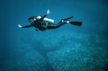 2 Dives in the morning for certified divers in Bora Bora