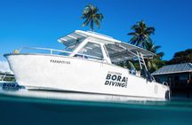 Introductory Dive in Bora Bora (afternoon)