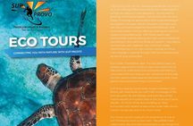 Turtle Eco Tour on Stand-Up Paddleboards or Kayaks into the National Marine Park