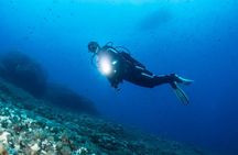 Two Morning Dives in Gozo for Certified Diver