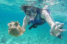Costa Maya Snorkel Tour