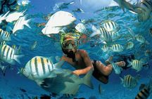 Costa Maya Snorkel Tour