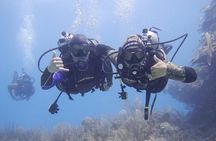 Discovery Scuba Dive.