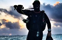 1 Tank Dive for certified divers