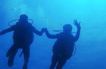 2 Tank Dive (for certified divers)