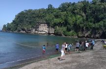 St. Lucia Island Short Tour