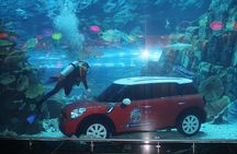 Dubai Aquarium & Underwater Zoo - Basic