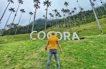 Tour in the Cocora Valley short