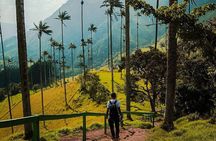 Tour in the Cocora Valley short