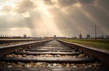 Auschwitz-Birkenau Memorial and Museum Guided Tour - Private Transport