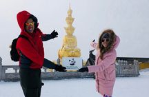 2-Day All Inclusive Leshan Giant Buddha and Emei Mountain Tour