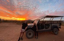 Sonoran Desert Jeep Tour at Sunset