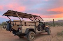 Sonoran Desert Jeep Tour at Sunset