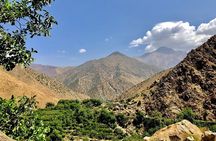 Half Day Tour From Marrakech to the Atlas Mountains & Ourika Valley