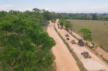 Buggies Off Road Extreme From Punta Cana
