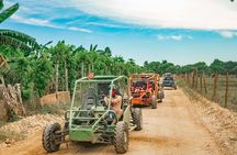Buggies Off Road Extreme From Punta Cana