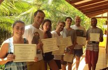 1- or 2-Week Spanish Immersion Program in Tamarindo
