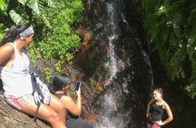 El Yunque Hike Adventure to Las Tinajas Waterfall from Fajardo