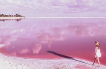 Tour Coloradas and Rio Lagarto