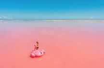 Tour Coloradas and Rio Lagarto