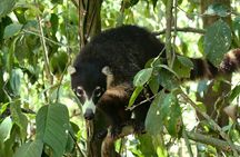 5 Days Wildlife Tour in Drake Bay, Sierpe, Corcovado and Osa