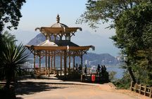 Chinese View and Tijuca Forest - Transport + Tour Guide